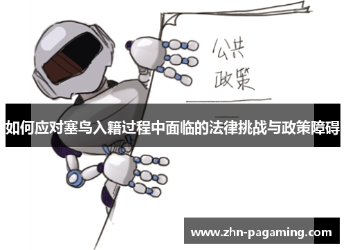 如何应对塞鸟入籍过程中面临的法律挑战与政策障碍